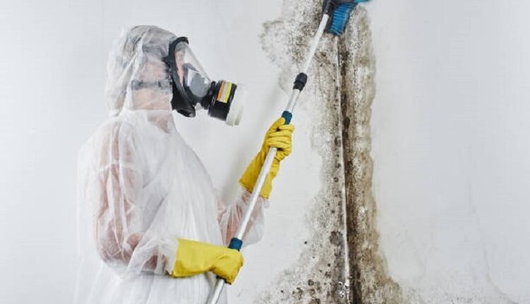 Mold